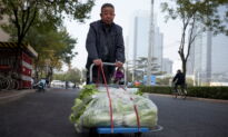 Beijing Residents Stock Up on Cabbages in Uncertain Times