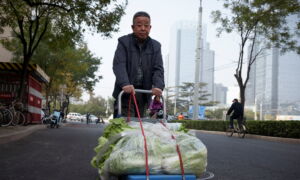 Beijing Residents Stock Up on Cabbages in Uncertain Times