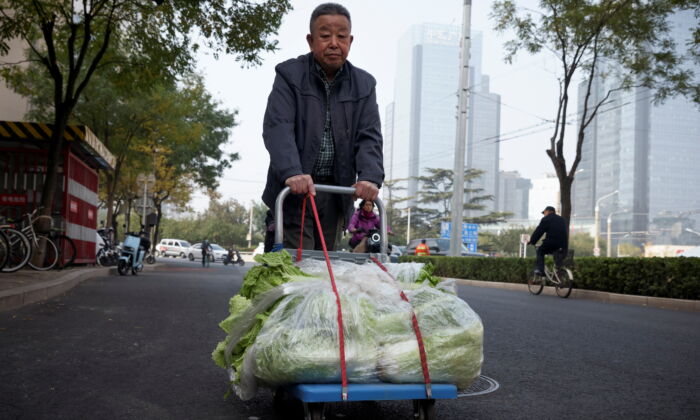 A man transports cabbage on a cart after buying it at a street stall in Beijing, China, on November 4, 2021. (REUTERS/Thomas Peter)
