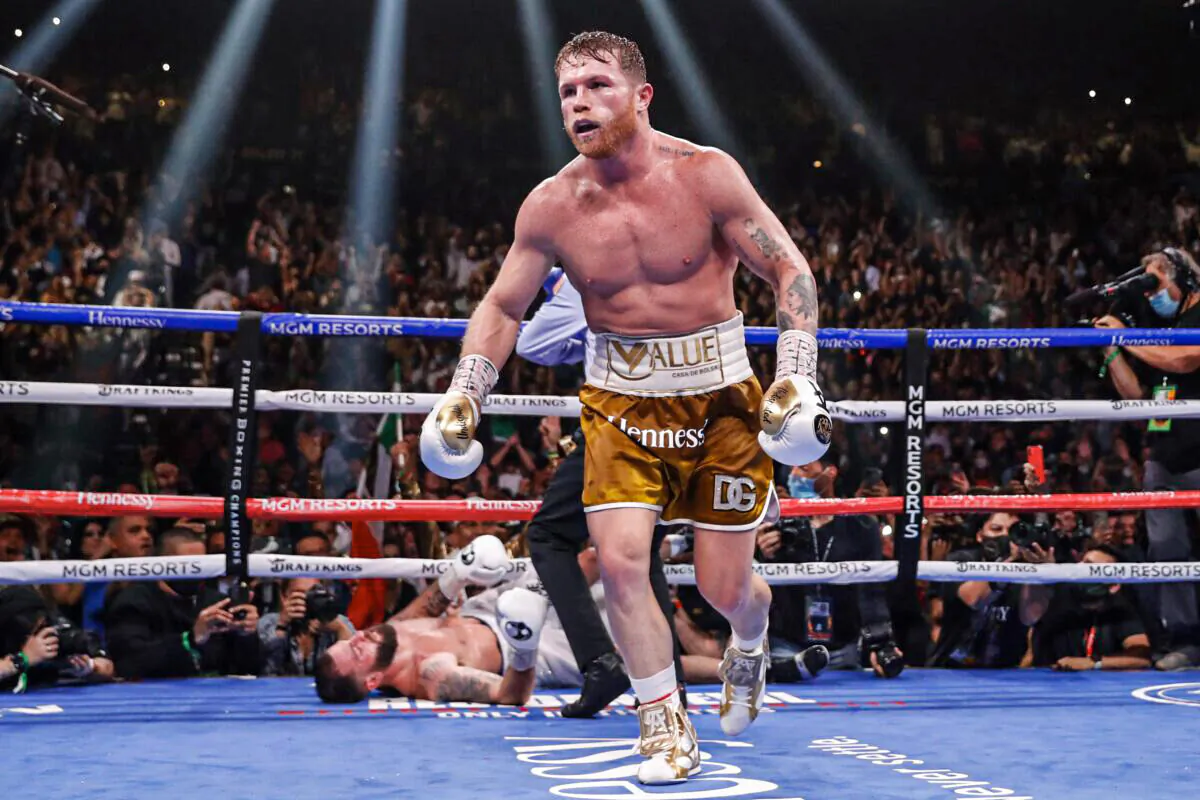 Canelo Alvarez knocks down Caleb Plant to win a super middleweight title unification fight in Las Vegas on Nov. 6, 2021. (Steve Marcus/AP Photo)