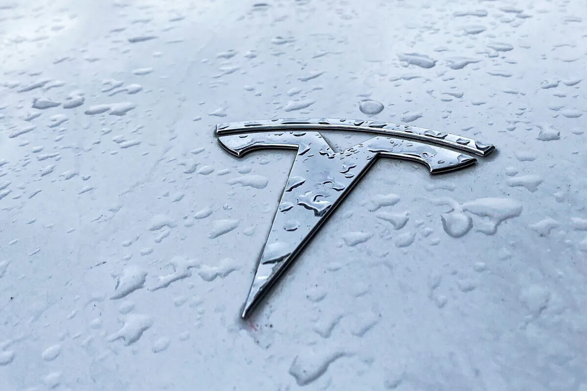 Raindrops are seen next to the Tesla logo on the bonnet of a Tesla electric car in Berlin's Kreuzberg district on March 15, 2021. (David Gannon/AFP via Getty Images)