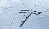 Tesla Shares Fall After Twitter Users Vote for Musk to Sell Stock