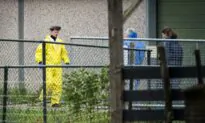 Bird Flu Spreads to Poland, Hitting Farms Totaling 650,000 Poultry