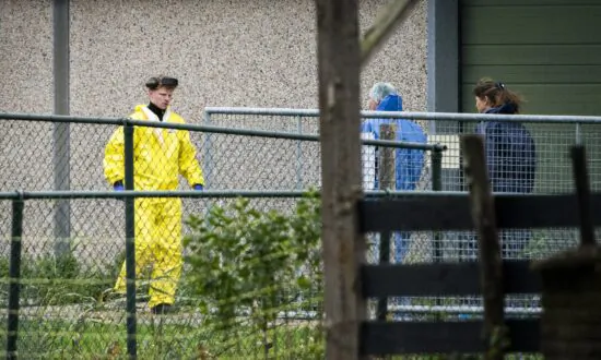 Bird Flu Spreads to Poland, Hitting Farms Totaling 650,000 Poultry