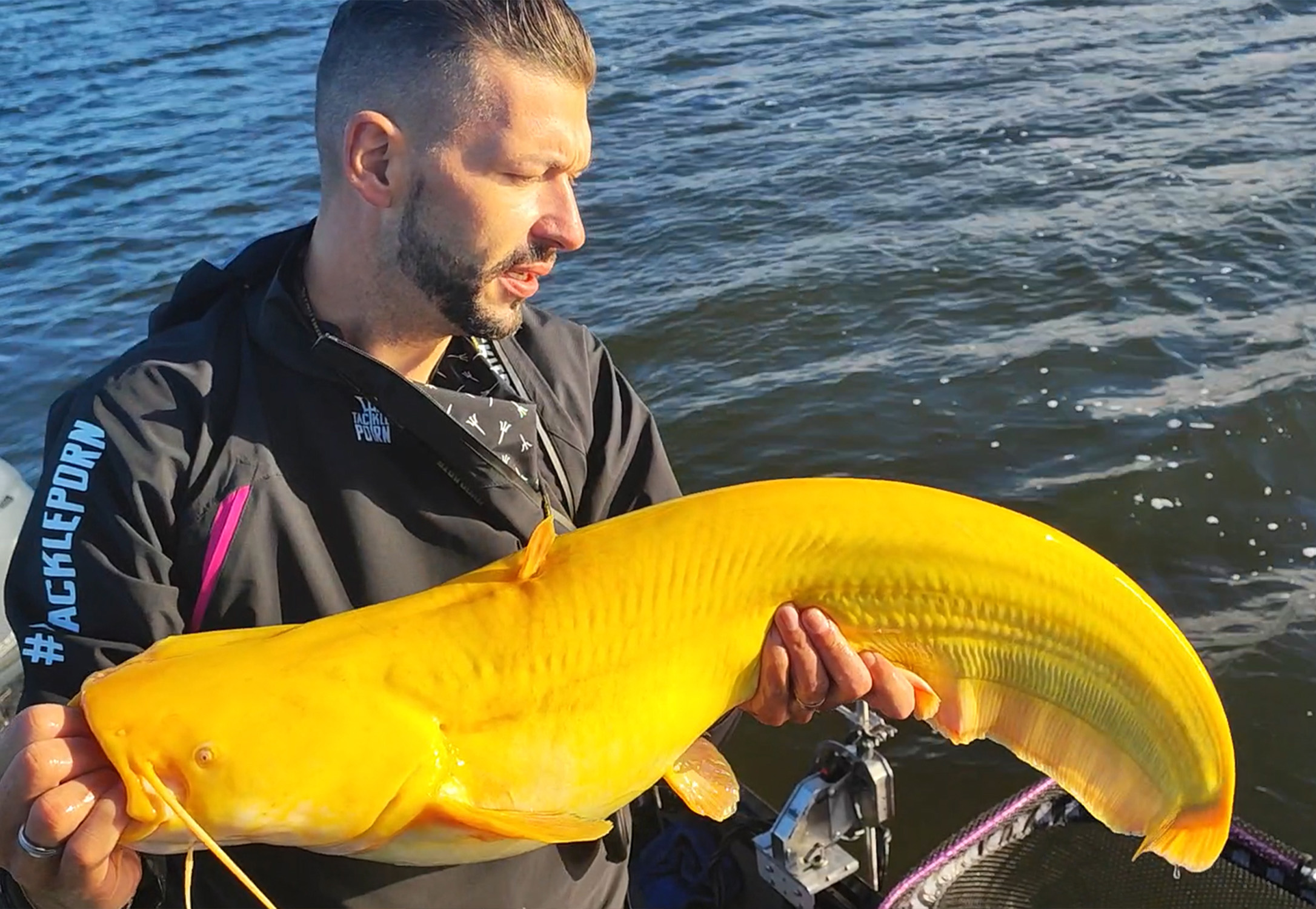 Fisherman Boats Beautiful Yellow Catfish