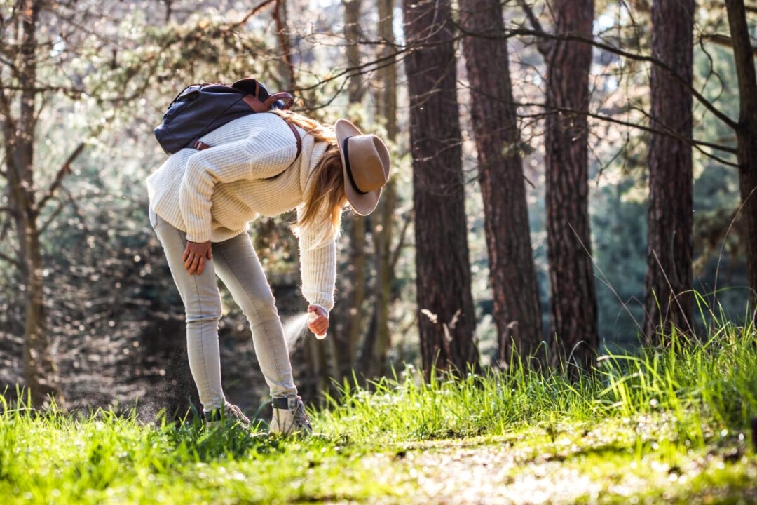 Woman spraying insect repellent against tick at her legs. Protection against mosquito bite during hike in forest