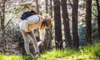 How to Prevent Lyme Disease