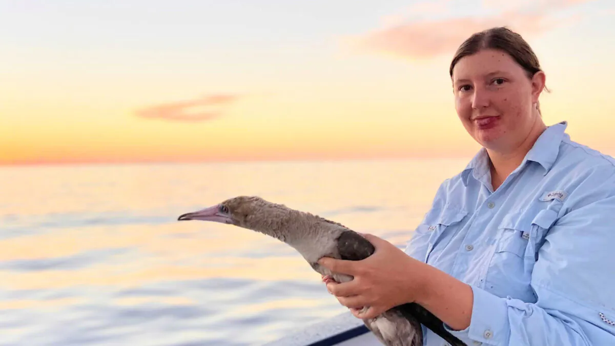 Bianca Keys aboard a research vessel with a Red-footed Booby. (Kaarel Raia)