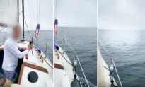 Sailor in Santa Monica Bay Led by Dolphins to Woman Stranded Miles From Shore, Saves Her Life