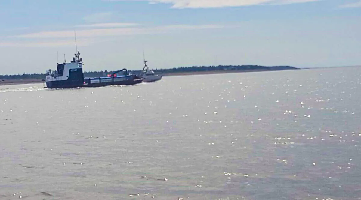 Fishing boats entering Cook Inlet via the Kenai River, Kenai, Alaska, on July 1, 2020. (Beeblebrox via Wikimedia Commons/CC BY-SA 4.0)