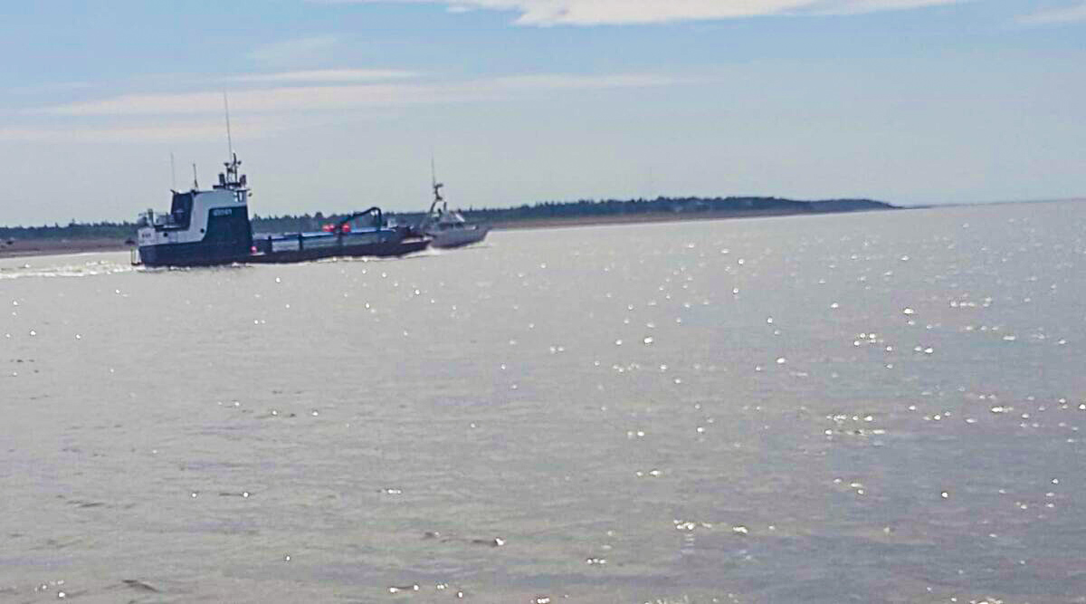 US to Auction Almost 1 Million Acres Off Alaskan Coast for Oil Drilling - Vimarsana News
