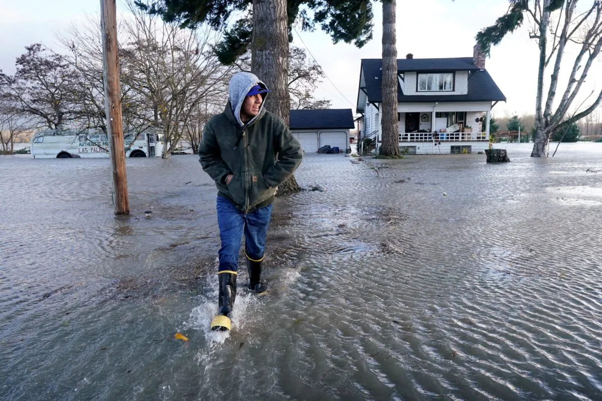 Benjamin Lopez steps from floodwater surrounding his parents home in Sedro-Woolley, Wash., on Nov. 15, 2021. (Elaine Thompson/AP Photo)
