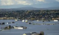 Flooding in BC ‘Testing the Resilience’ of Dairy Farmers, Says Association