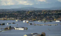 Flooding in BC ‘Testing the Resilience’ of Dairy Farmers, Says Association