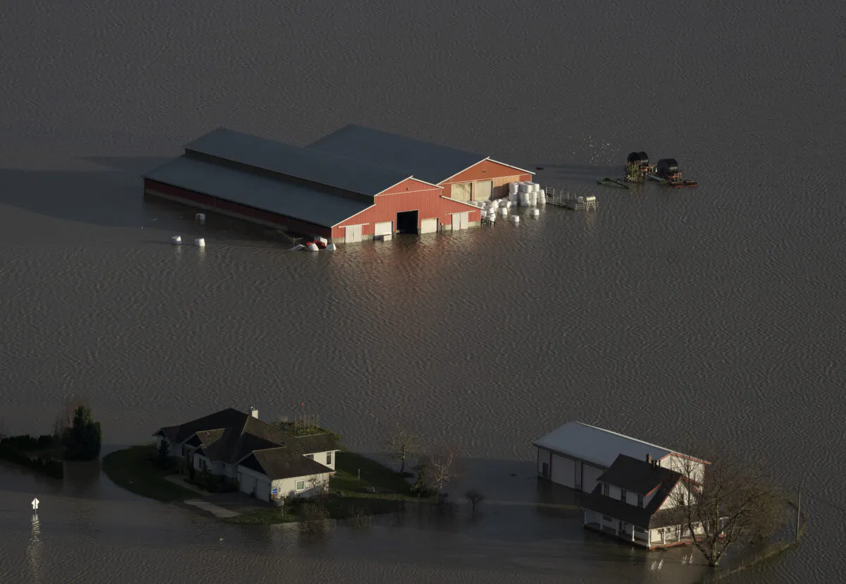 A barn and homes are surrounded by the rising flood waters in Abbotsford, B.C., on Nov. 16, 2021. (The Canadian Press/Jonathan Hayward)