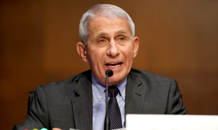 Dr. Anthony Fauci, director of the National Institute of Allergy and Infectious Diseases, at a Senate hearing in Washington, on May 11, 2021. (Greg Nash/Pool/Getty Images)