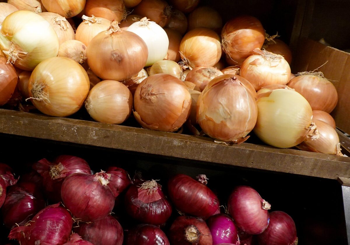 Another Distributor Recalls Onions Over Salmonella Concerns