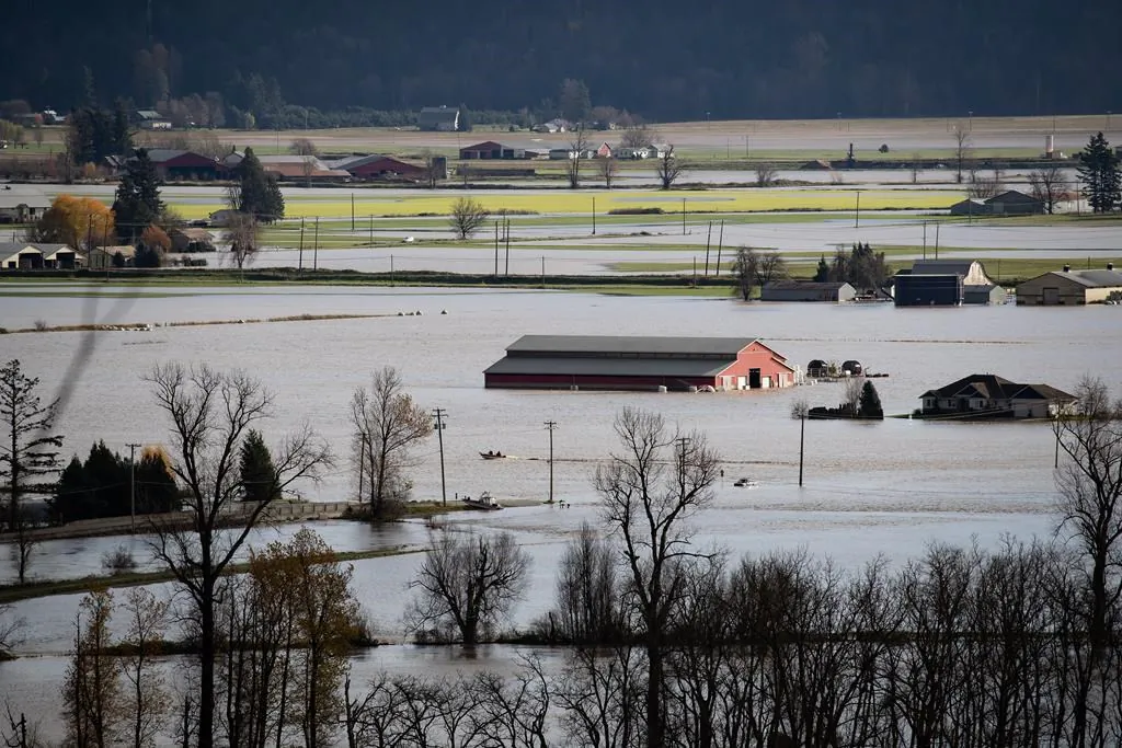 A partially submerged truck is seen on a road surrounded by flooded farms and agricultural land in Abbotsford, B.C., November 16, 2021. (The Canadian Press/Darryl Dyck)