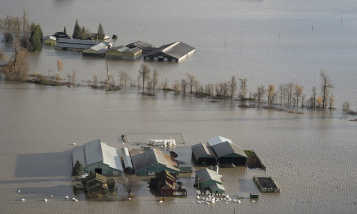 A farm is surrounded by flood waters in Abbotsford, B.C., on Nov. 16, 2021. ( Canadian Press/Jonathan Hayward)