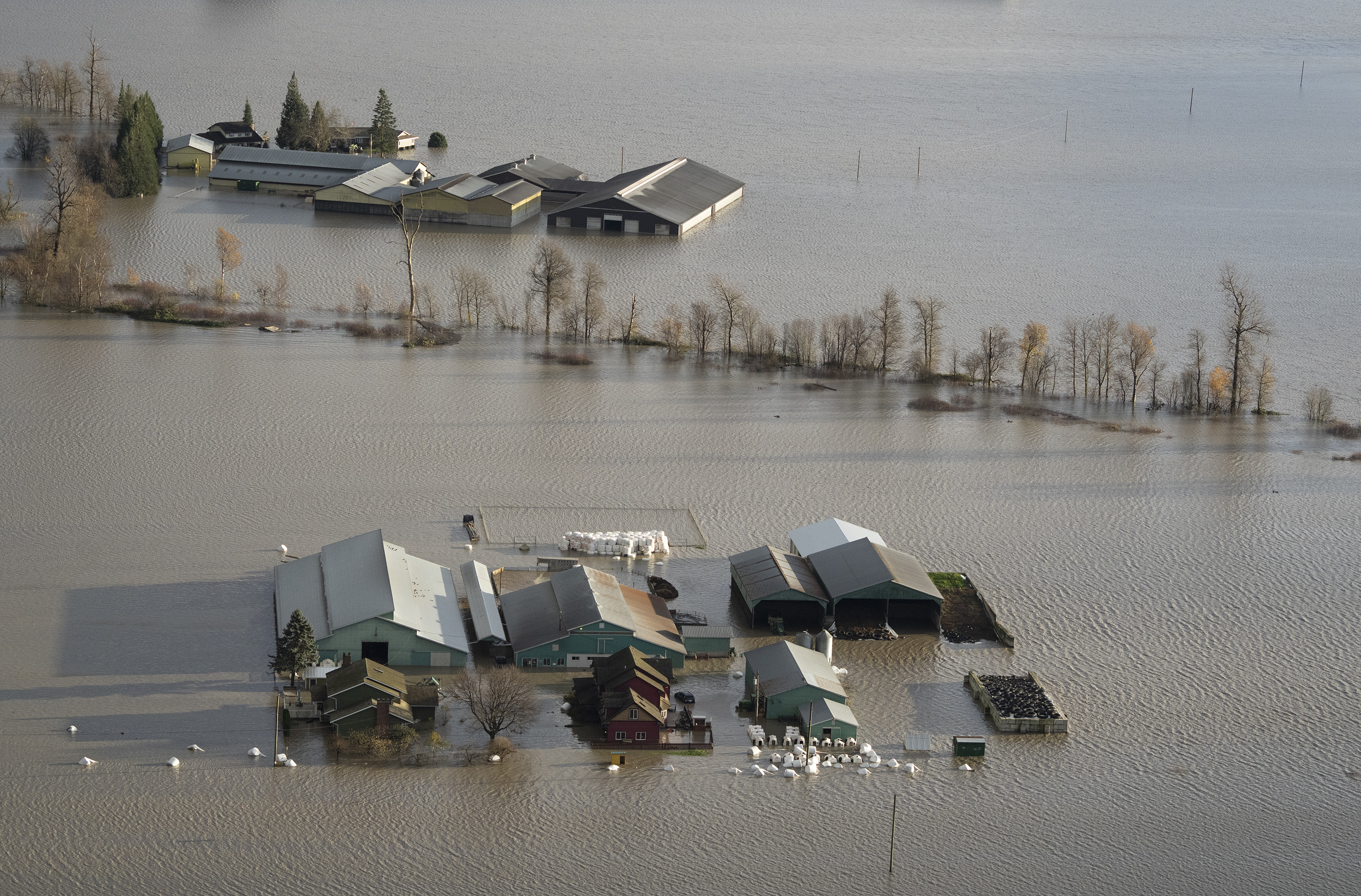 No Disaster Aid for Homeowners Who Don't Buy Flood Insurance, Suggests Feds Report - Vimarsana News