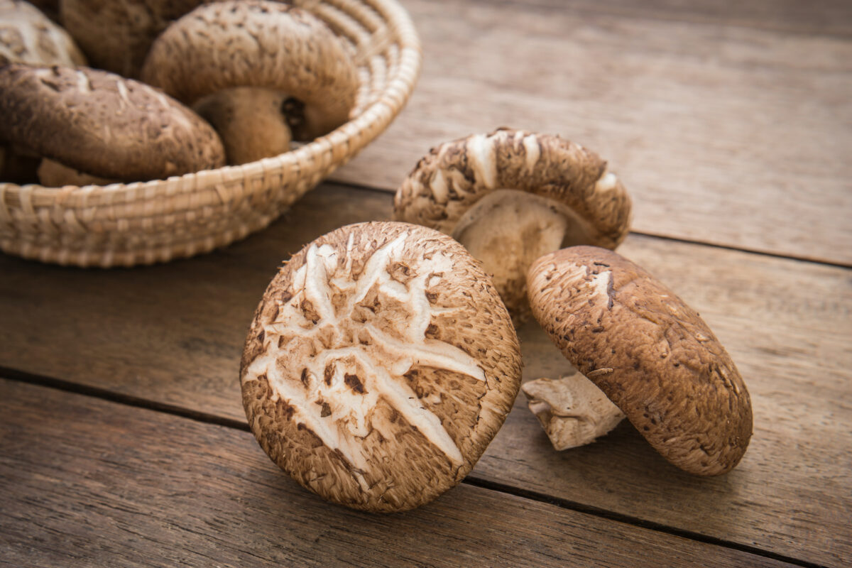 Shiitake mushrooms have been a part of
many medical traditions for centuries.
Now researchers are uncovering why.(Amarita/Shutterstock)