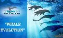 Debunking Evolution (Episode 5): Debunking Evolution Part5