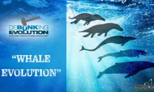 Debunking Evolution (Episode 5): Debunking Evolution Part5