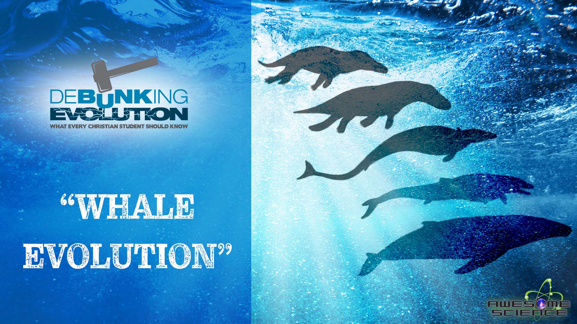 Debunking Evolution (Episode 5): Debunking Evolution Part5 - Vimarsana News