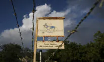 Kidnapped North American Missionaries Freed in Haiti