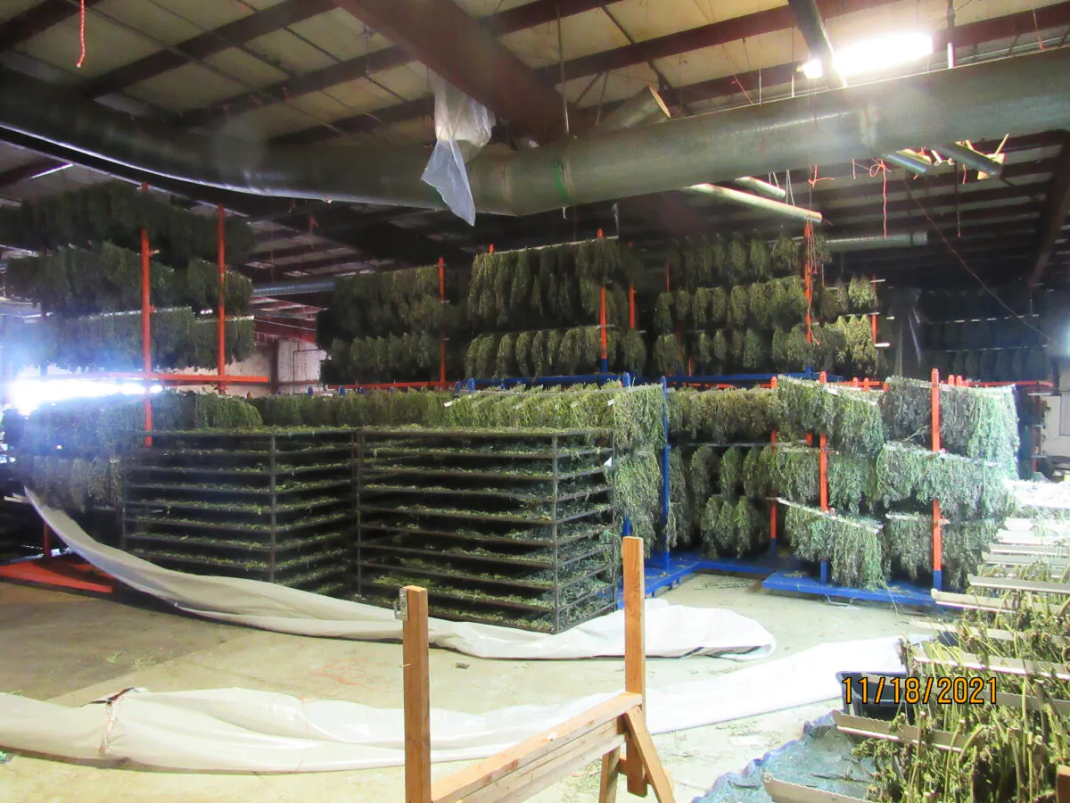 Drugs found during a raid on warehouses in White City, Oregon, on Nov. 18, 2021. (Oregon State Police)