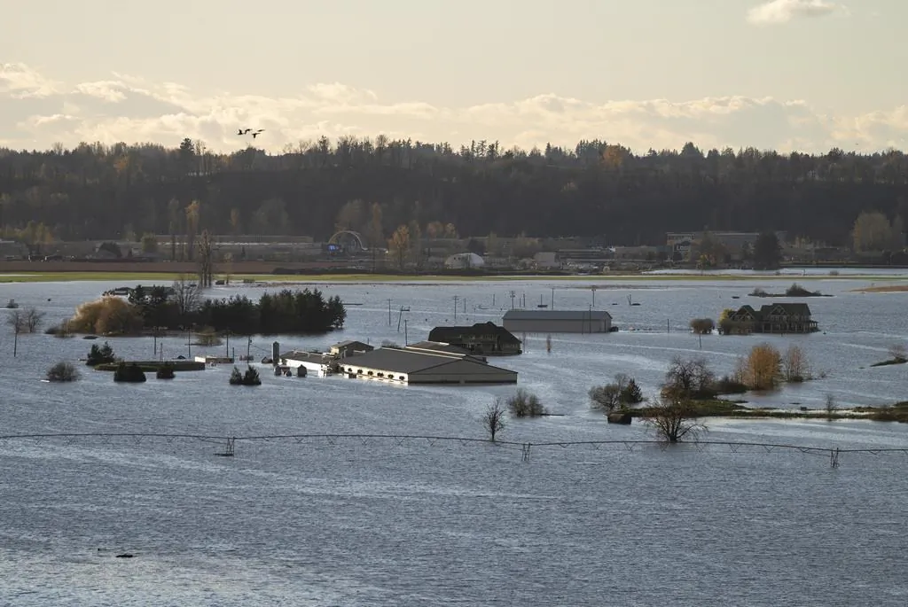 Rising flood waters surround buildings in Abbotsford, B.C., Nov. 16, 2021. (The Canadian Press/Jonathan Hayward)