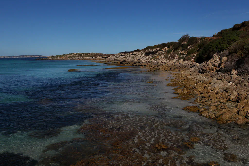 A general view of Vivonne Bay as seen on February 25, 2020 (Photo by Lisa Maree Williams/Getty Images)