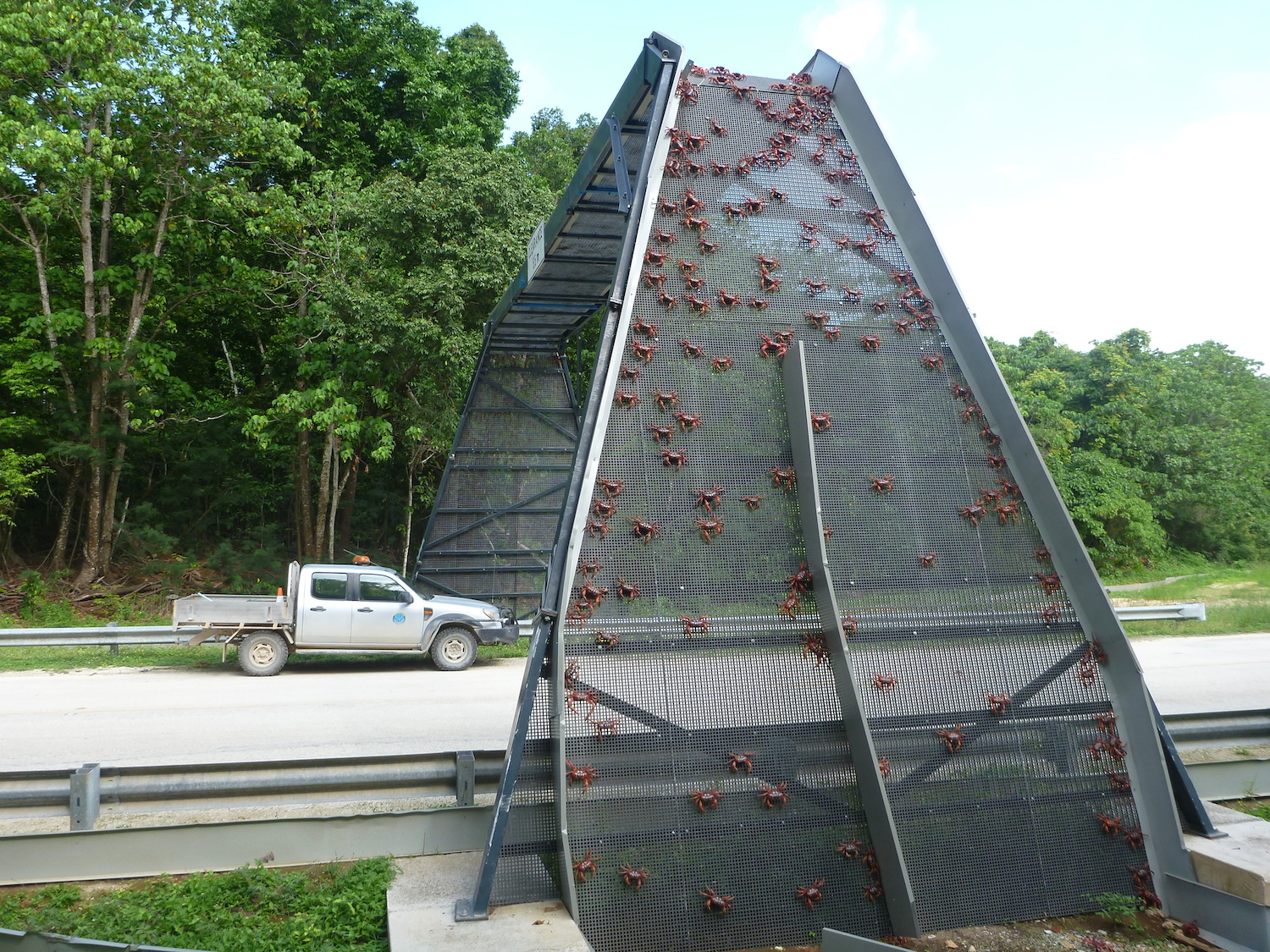 Epoch Times Photo