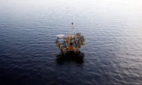 Federal Court Partly Reverses 2018 Gulf of Mexico Lease Sales