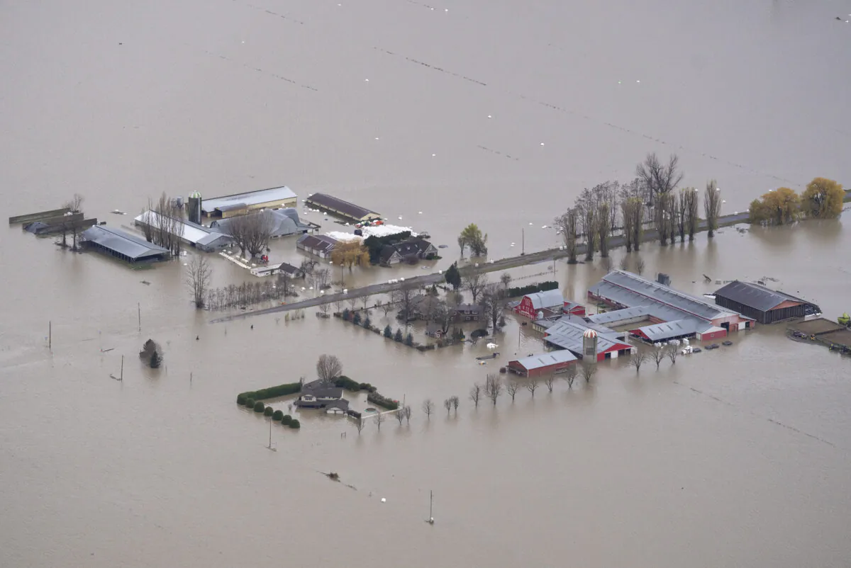 Flood waters surround a farm in Abbotsford, B.C., on Nov. 23, 2021. (The Canadian Press/Jonathan Hayward)