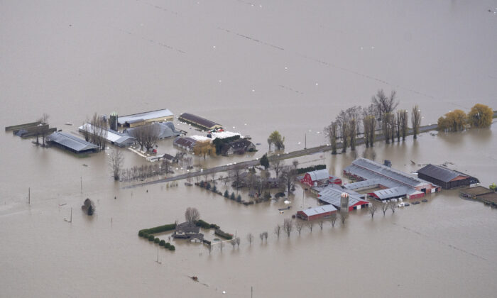 Flood waters surround a farm in Abbotsford, B.C., on Nov. 23, 2021. ( Canadian Press/Jonathan Hayward)