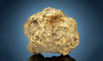 Largest Gold Nugget Found in Alaska Weighs 20 Pounds—to Fetch $700,000 to 1.2 Million at Auction