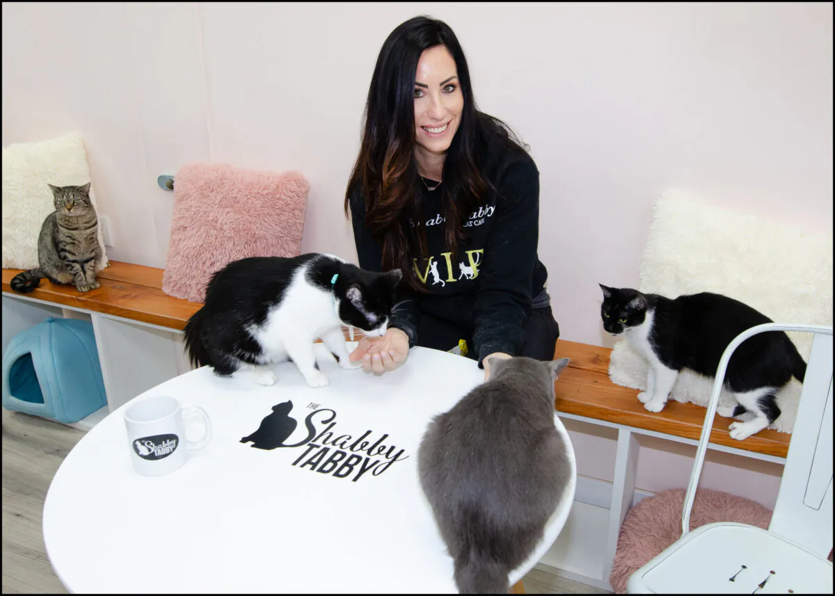 Ryan Shea, owner of The Shabby Tabby cat cafe in Sayville, Long Island, with a few of her adoptable cats. (Dave Paone/The Epoch Times)