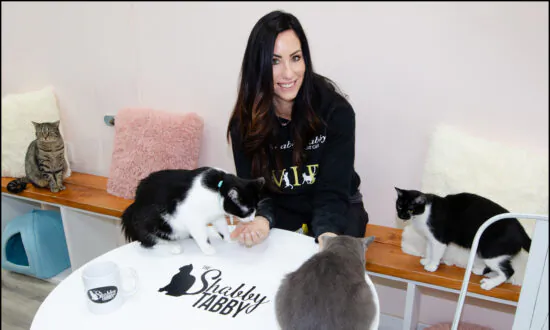 New York Cat Lovers Think These Cafes Are Purr-tacular!