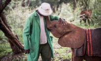 Photos: The Fun-Filled Emotional Bond Between Orphaned Elephants and Caregivers