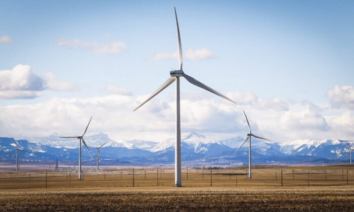 TransAlta wind turbines are shown at a wind farm near Pincher Creek, Alta., on March 9, 2016. (The Canadian Press/Jeff McIntosh)