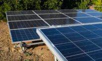 US to Impose Tariffs on Major Solar Firms for Dodging China Duties