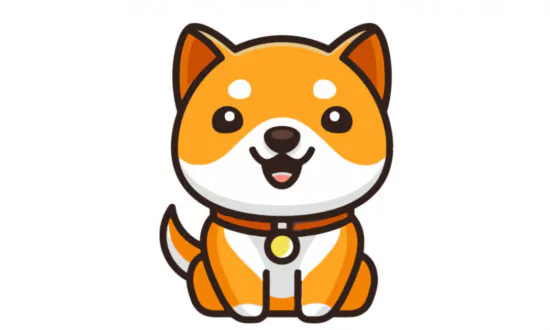 You Ask, We Analyze: Why BabyDoge Must Hold This Key Level Despite Dogecoin’s Action