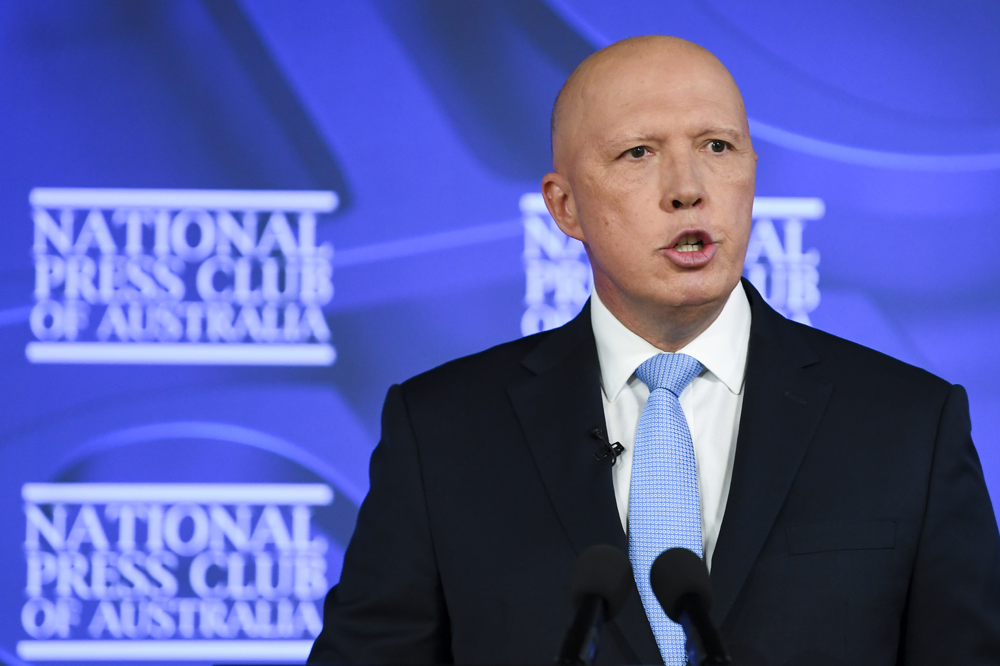 Australian Opposition Leader Calls for Border Closure With Indonesia Over Foot and Mouth Threat - Vimarsana News