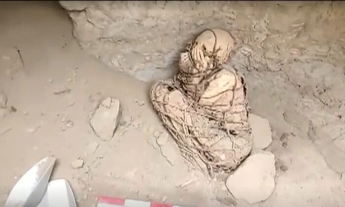 An 800-year-old mummy is found on Peru's central coast, in this still image taken from video on Nov. 27, 2021. (Reuters/Screenshot via   Pezou) 