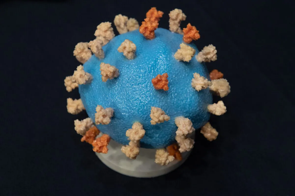 A coronavirus model sits on a table ahead of a Senate hearing in Washington, on July 2, 2020. (Saul Loeb/POOL/AFP via Getty Images)