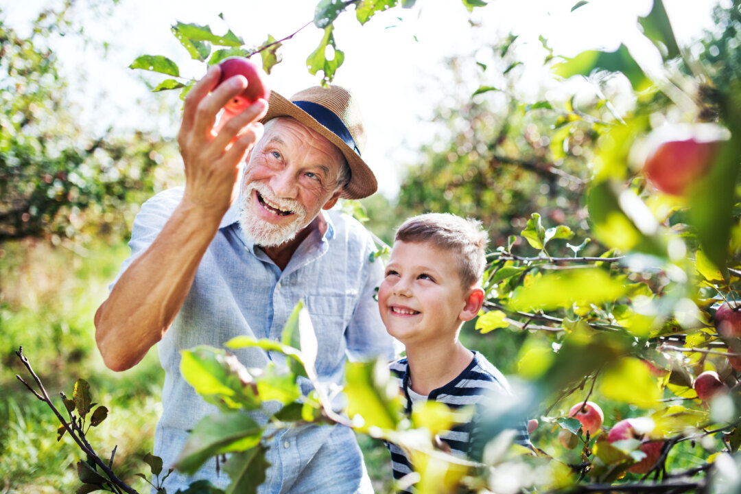 Apples are moistening, especially to your lungs, which is perfect as the air dries out during the fall and winter months.(Halfpoint/Shutterstock)