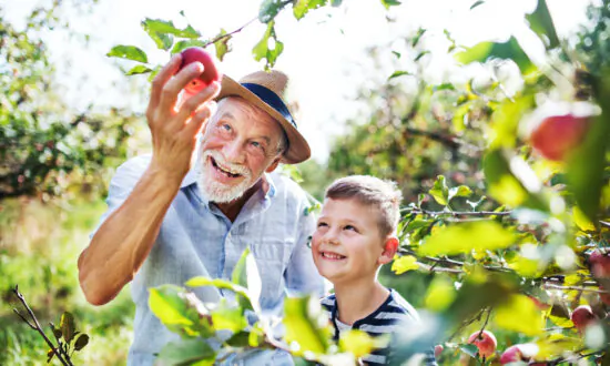 Fall Foods for Good Health