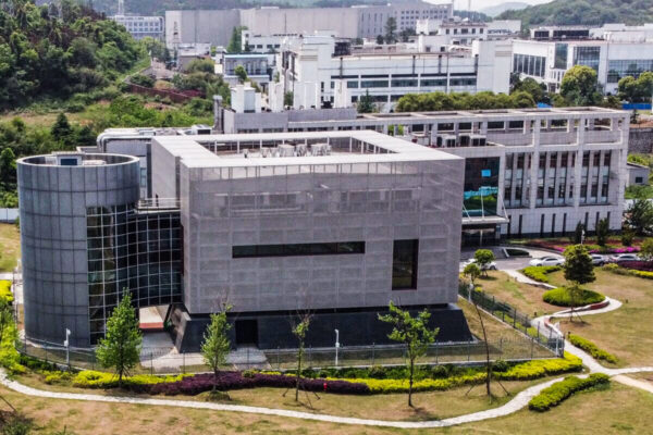 Top NIH Official Was Unaware of Boston Lab’s New COVID Research With ‘Eighty Percent’ Kill Rate in Mice Top NIH Official Was Unaware of Boston Lab’s New COVID Research With ‘Eighty Percent’ Kill Rate in Mice