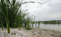 Can Lithium Cure What Ails the Salton Sea?